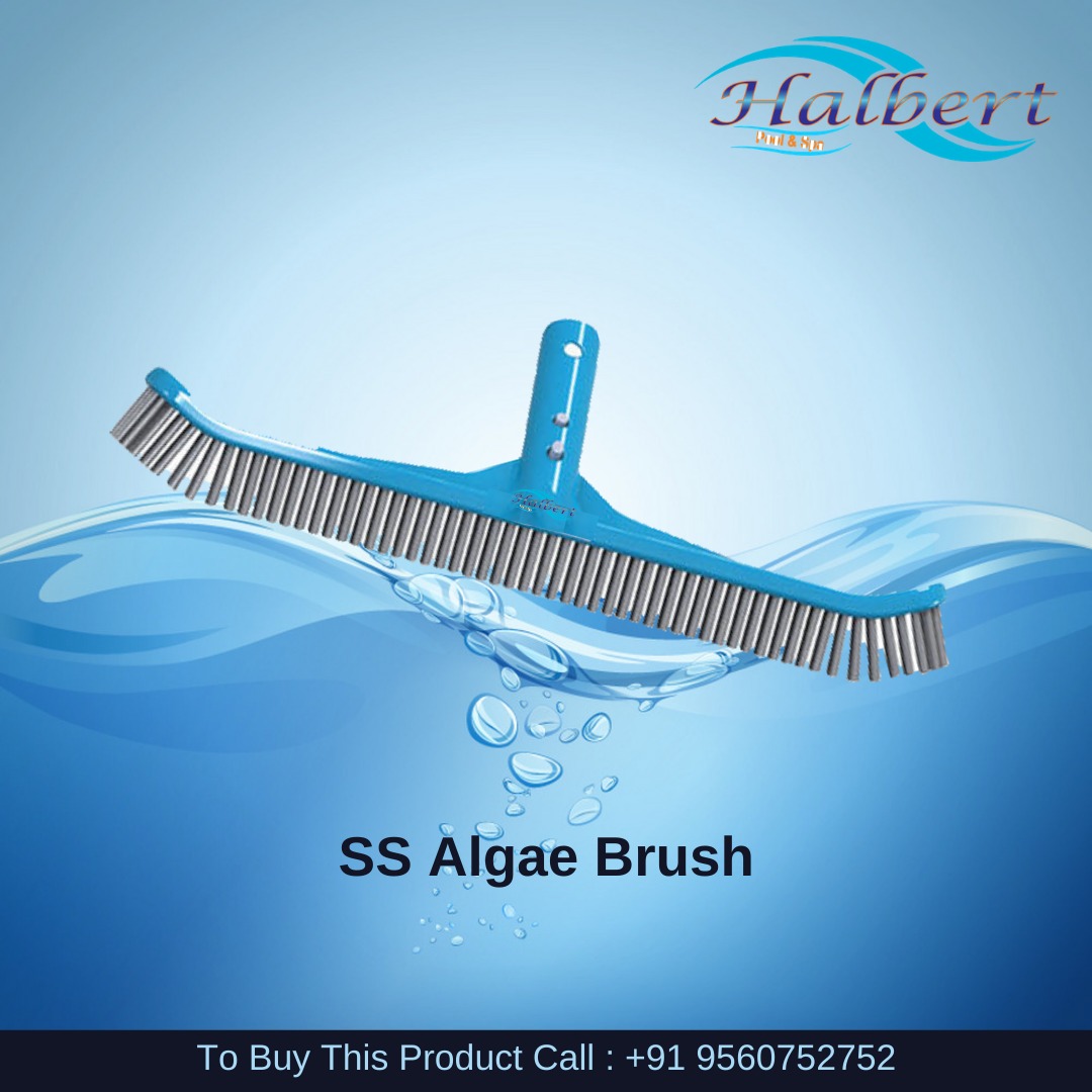 Deluxe Stainless Steel Algae Brush 18 inch