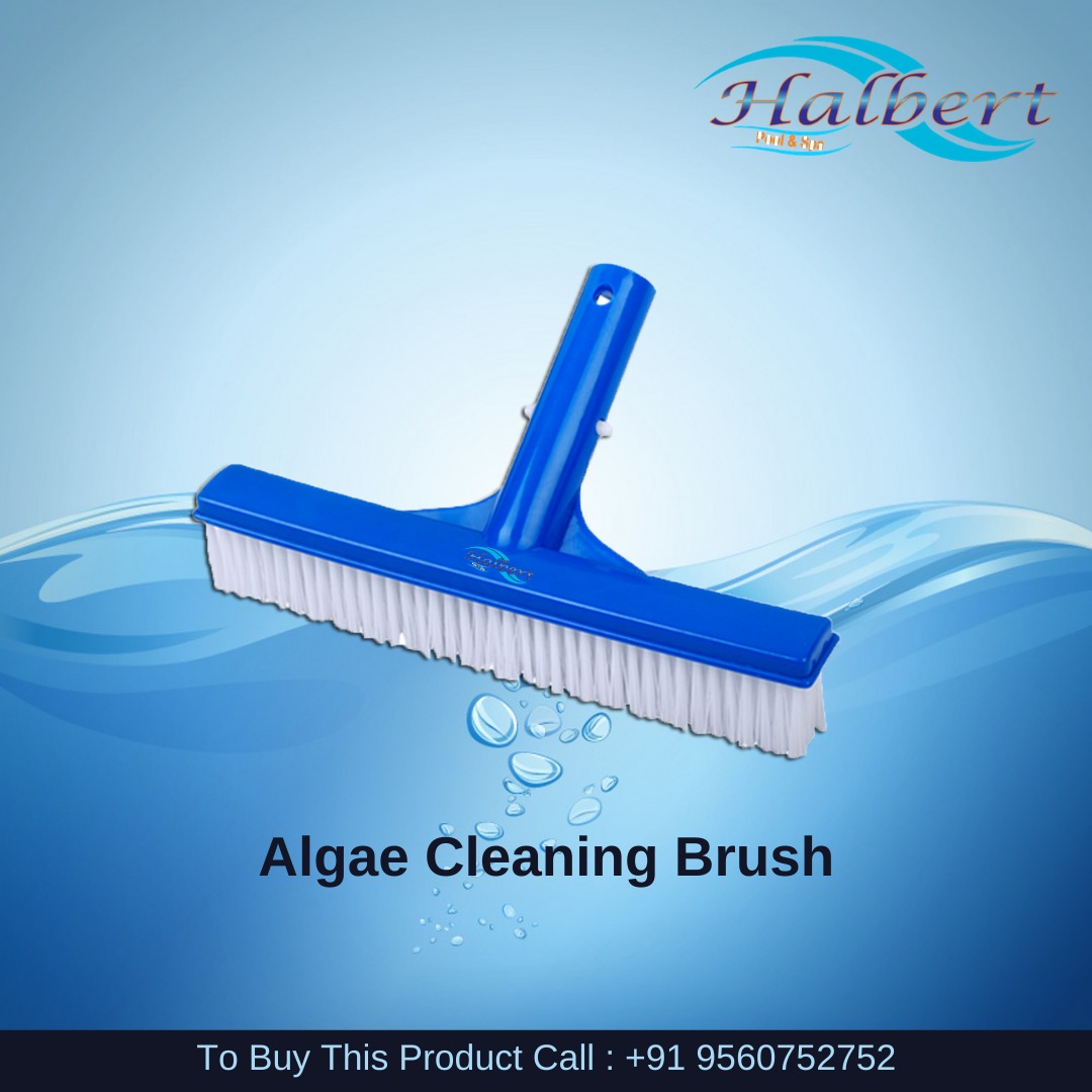 Algae Cleaning Brush