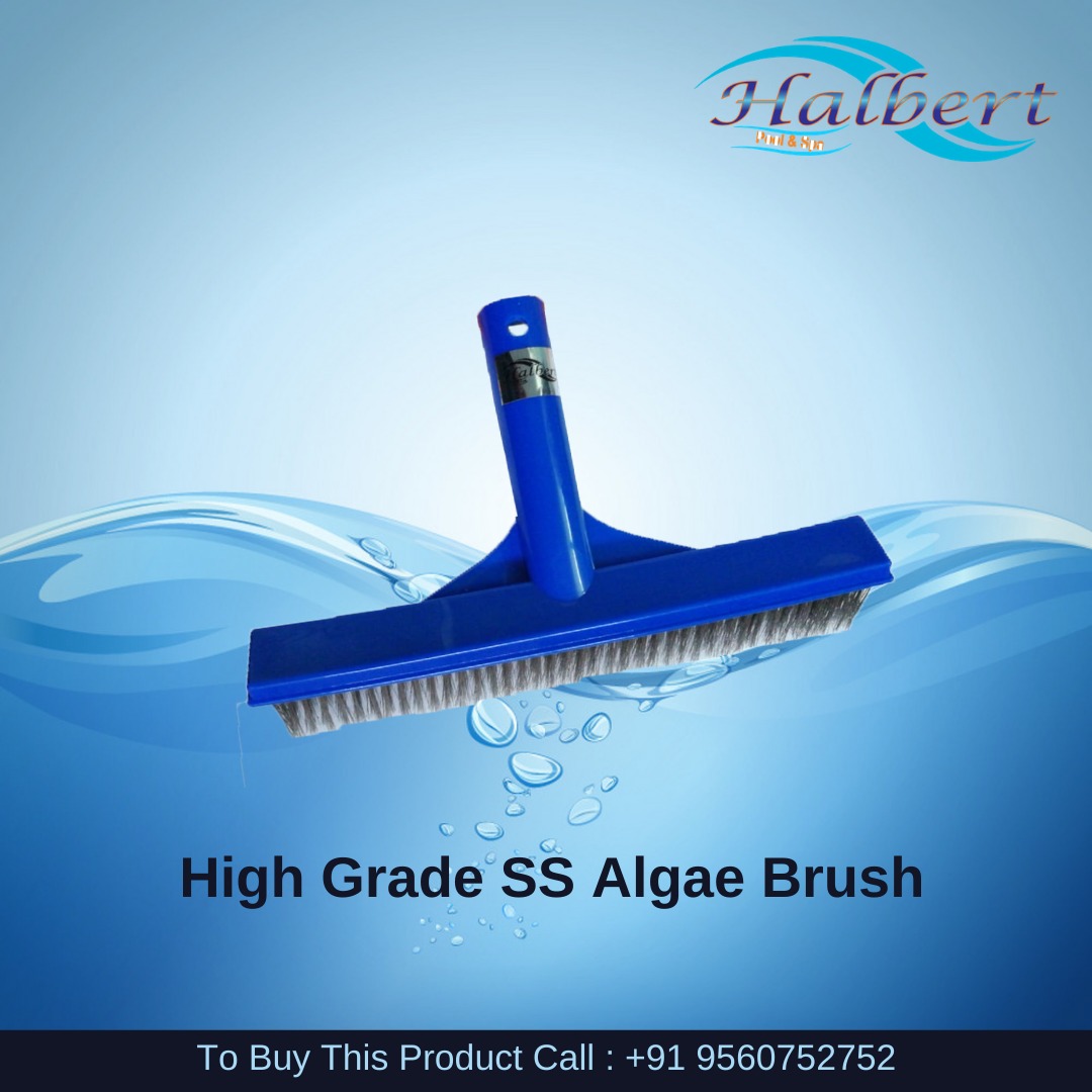 Curved Algae Brush